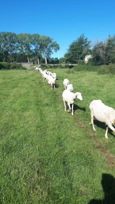 Gite A La Ferme, Avec Animaux, Fromages Et Nature Neuville-les-Decize Exterior photo